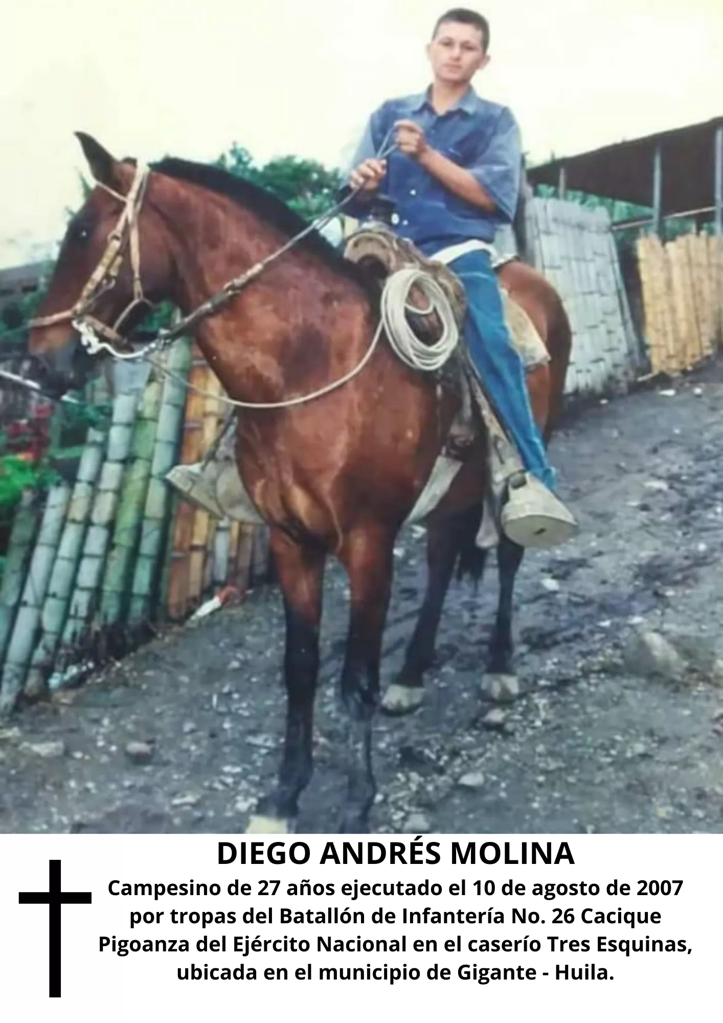Galeria victima