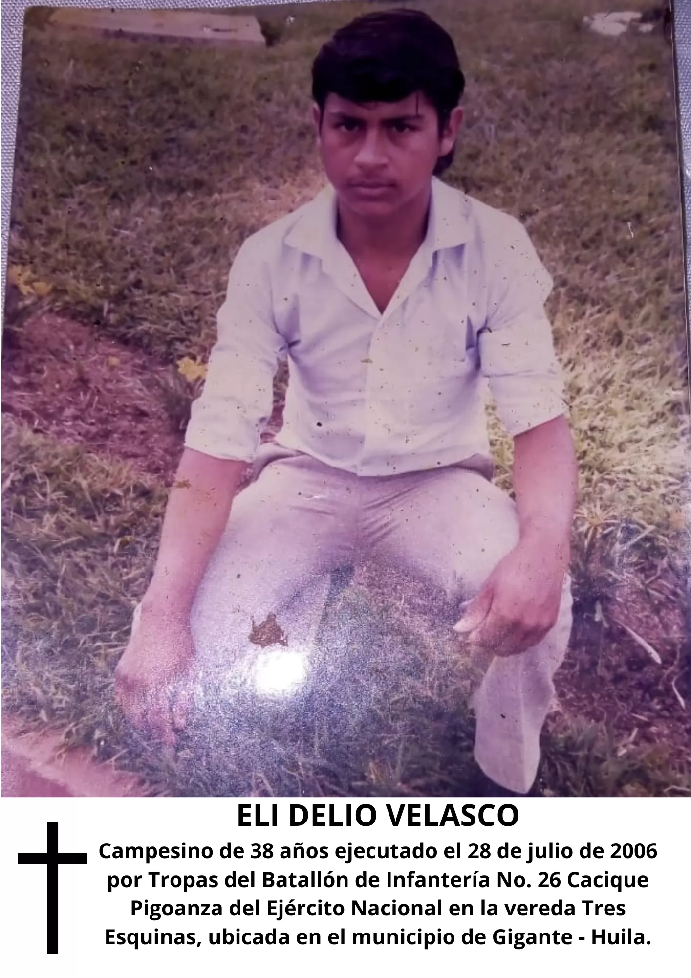 Galeria victima
