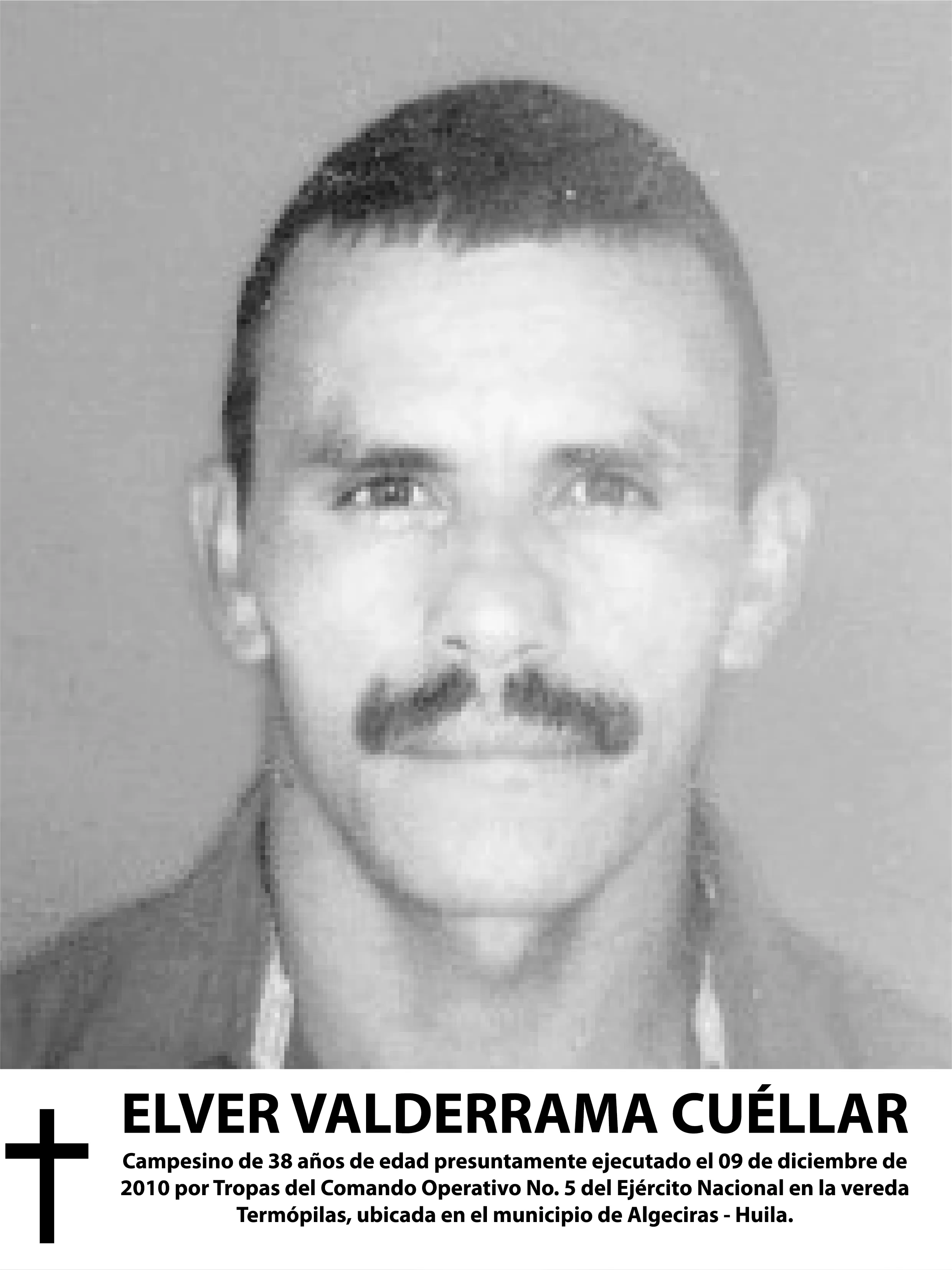 Galeria victima